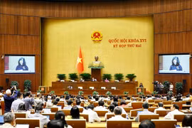 La ministra de Salud, Dao Hong Lan, presenta propuestas sobre tres proyectos de ley en el segundo período de sesiones de la Asamblea Nacional. Foto: VNA