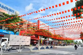 Un tramo de la calle Nguyen Hue, en el barrio de Cao Lanh, provincia de Dong Thap, decorado para celebrar el XIV Congreso Nacional del Partido. (Foto: dongthap.gov.vn)