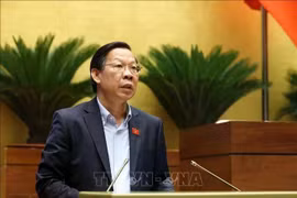 Phan Van Mai, presidente de la Comisión de Asuntos Económicos y Financieros de la Asamblea Nacional, presenta un informe con explicaciones, comentarios y revisiones al proyecto de ley modificado del Impuesto sobre la Renta de las Sociedades. (Foto: VNA)