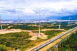 Se espera que la energía eólica sea una fuente de energía limpia. (Foto: VNA)