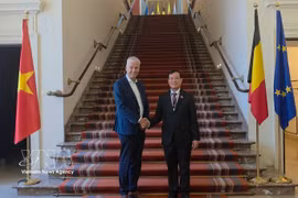 El presidente de la Comisión de Defensa Nacional, Seguridad y Asuntos Exteriores de la Asamblea Nacional de Vietnam, teniente general Le Tan Toi (derecha), se reúne con el primer vicepresidente del Senado de Bélgica, Andries Gryffroy. (Foto: VNA)
