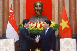 El presidente vietnamita Luong Cuong (derecha) se reunió con el primer ministro singapurense, Lawrence Wong. (Fuente: VNA)
