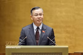 El ministro de Finanzas, Ngo Van Tuan, interviene en la reunión. (Fuente: VNA)