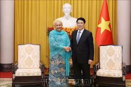 El presidente vietnamita Luong Cuong (der.) recibe a la vicesecretaria general de la ONU, Amina J. Mohammed. (Foto: VNA)
