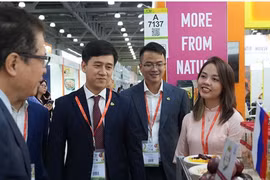 El embajador de Vietnam en Rusia, Dang Minh Khoi, en el pabellón vietnamita. (Fuente: VNA)