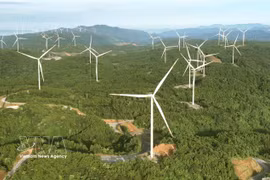 Gia Lai aprueba inversión de casi 57 millones de dólares en parque eólico 