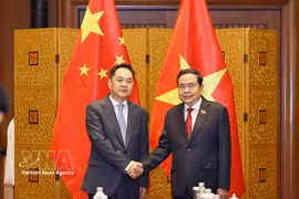 El presidente de la Asamblea Nacional, Tran Thanh Man (derecha), y Yang Wanming, presidente de la Asociación del Pueblo Chino para la Amistad con el Extranjero (Foto: VNA)