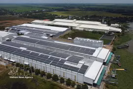 Una empresa arrocera de la comuna de Truong Xuan, provincia de Dong Thap, invierte en un sistema de energía solar instalado en la cubierta de su nave industrial para abastecer sus actividades productivas. Foto: VNA