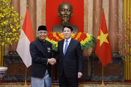 El presidente Luong Cuong (derecha) y el recién nombrado embajador de Indonesia, Adam Mulawarman Tugio (Foto: VNA)
