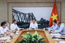 El viceprimer ministro Ho Quoc Dung presidió la reunión (Foto: VNA)