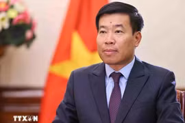 El viceministro de Relaciones Exteriores de Vietnam, Nguyen Manh Cuong. (Fuente: VNA)