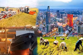 Vietnam aspira a convertirse en un país en desarrollo con una industria moderna y de ingresos medios altos para 2030 y en una nación desarrollada y con altos ingresos para 2045. (Foto de ilustración)