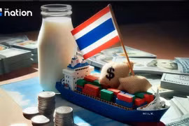 Tailandia sigue liderando el mercado de productos lácteos de la ASEAN, con exportaciones que crecieron un 11,5% en 2024 hasta los 582,62 millones de dólares (Foto: nationthailand.com)