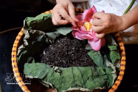 Los artesanos separan meticulosamente las semillas de loto del Lago del Oeste para preparar el té utilizando métodos tradicionales. El té de loto del Lago del Oeste es uno de los productos que se presentarán en el Festival de Bebidas de Hanoi 2026. (Foto: VNA)