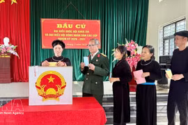 Los votantes vietnamitas emiten sus votos (Foto: VNA)