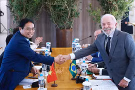 El primer ministro vietnamita Pham Minh Chinh (izquida) se réune con el presidente brasileño Luiz Inacio Lula da Silva. (Foto: VNA)