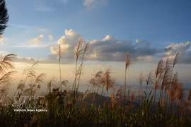Vong Hai Dai: el mirador con las mejores vistas de las montañas y el mar de Hue