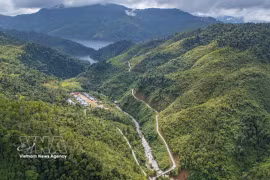Despiertan potencial económico de zonas forestales y montañosas en Da Nang