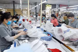 Producción de calzado para exportación a la Unión Europea en la empresa de calzado Truong Xuan de Hanoi. (Foto: VNA)
