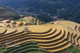 Arrozales en terrazas de la región montañosa de Mu Cang Chai en Lao Cai