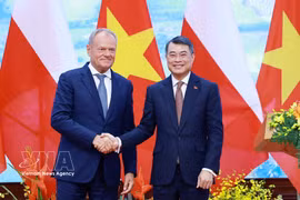 El primer ministro vietnamita, Le Minh Hung, (izquierda) y su homólogo polaco, Donald Tusk. (Fuente: VNA)