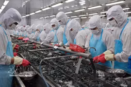 El sector de los productos del mar es una de las industrias que se beneficiará considerablemente una vez que el EVFTA entre en vigor. Fuente: VNA