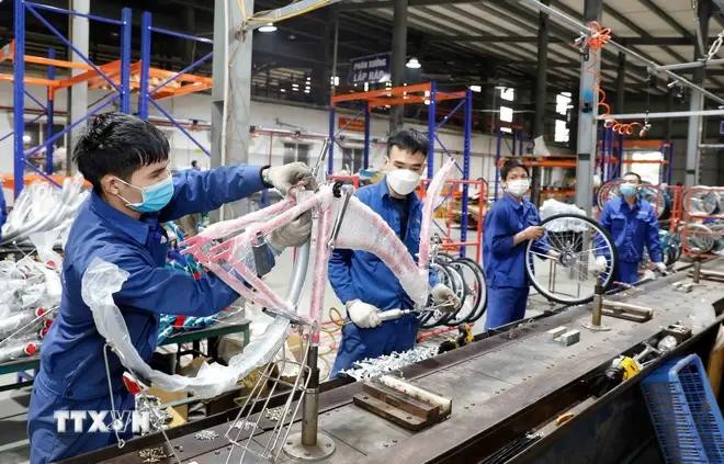 Bicicletas Thong Nhat se venden en el mercado nacional y para exportación. (Foto: VNA) 3.webp