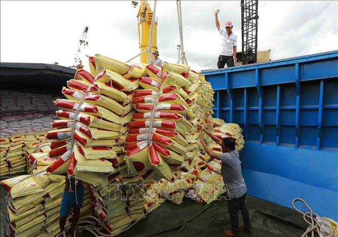 Exportaciones de arroz. (Fuente: VNA) xuat-khau-gao-1824-1.jpg