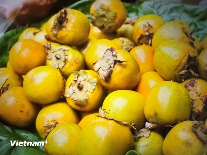 Caqui. (Fuente: Vietnamplus) hong-ngam-9595.jpg