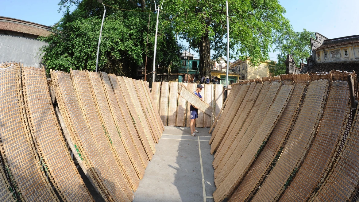 Provincia vietnamita preserva oficio de elaboración de obleas de arroz para rollitos 