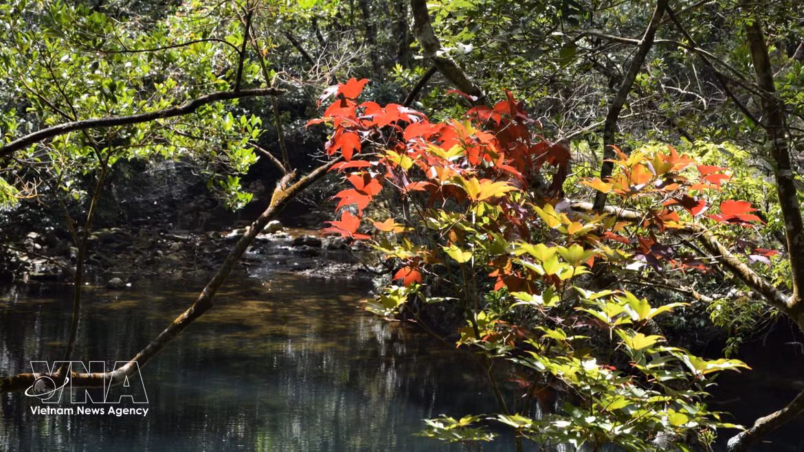 Hue impulsa la conservación y el ecoturismo en el Parque Nacional Bach Ma