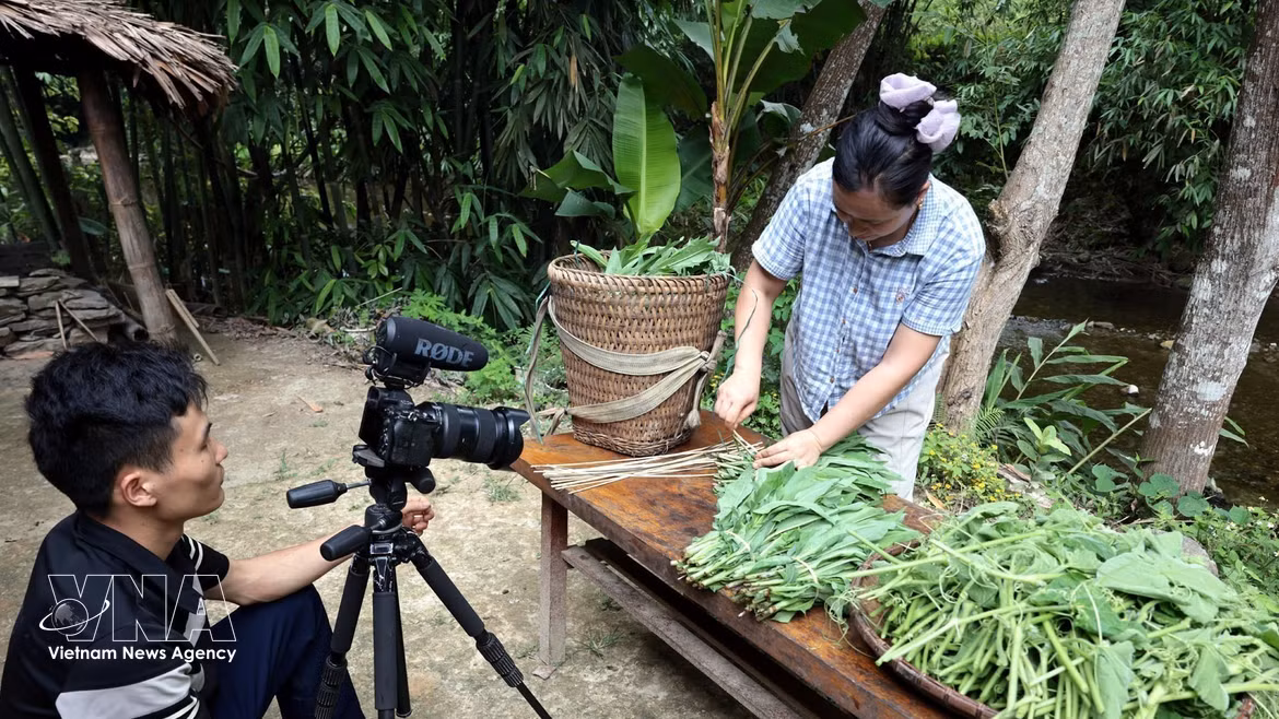 Crean en provincia vietnamita aldea de contenidos digitales vinculada al desarrollo turístico