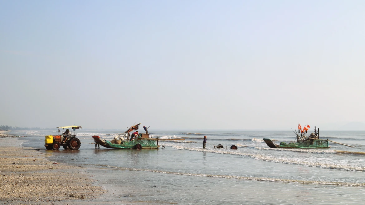 Pescadores de Nghe An disfrutan de buena temporada de cangrejo azul 