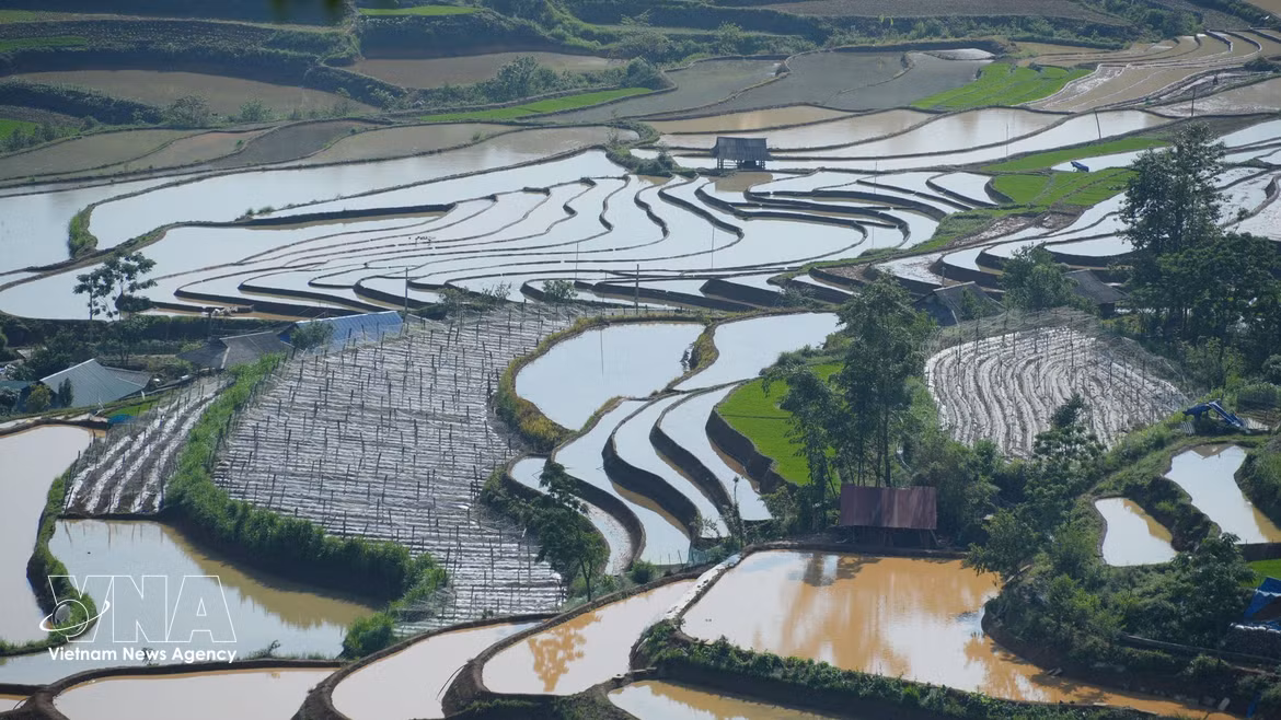 La belleza de los arrozales en terrazas en la provincia vietnamita de Lai Chau
