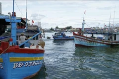 En el puerto pesquero de Quy Nhon (Foto. VNA)