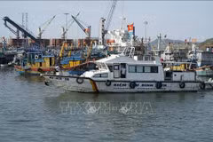 Las autoridades funcionales inspeccionan el puerto pesquero de Quy Nhon (Foto. VNA)