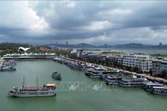 Flota turística de Ha Long en el puerto internacional de pasajeros de Tuan Chau (Foto: VNA)