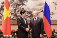 Presidente de Vietnam se reúne con Vladimir Putin en China