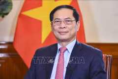 El viceprimer ministro y ministro de Relaciones Exteriores de Vietnam, Bui Thanh Son (Foto: VNA)