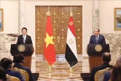 El presidente de Vietnam, Luong Cuong, y su homólogo egipcio Abdel Fattah El-Sisi, se reúnen con la prensa (Foto: VNA)