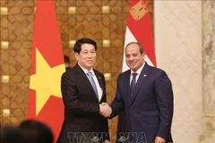 El presidente de Vietnam, Luong Cuong (izquierda), y su homólogo de la República Árabe de Egipto, Abdel Fattah El-Sisi (Foto: VNA)