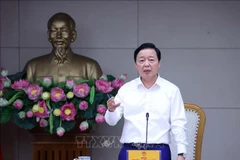 El viceprimer ministro vietnamita Tran Hong Ha preside la reunión (Foto: VNA)
