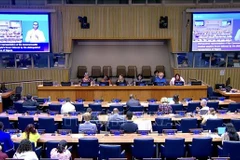 Panorama de la sesión (Foto: VNA)