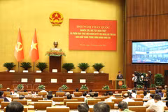 Panorama de la cita (Foto: VNA)