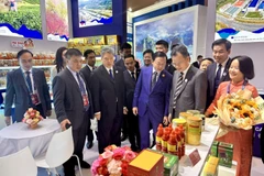 El viceprimer ministro Tran Hong Ha visita el pabellón de Vietnam (Foto: VNA)
