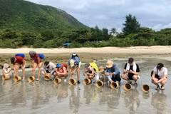 Los turistas extranjeros particupan en un tour para liberar crías de tortuga marina de vuelta al mar en Con Dao, Ciudad Ho Chi Minh. (Foto: sggp.org.jpg)