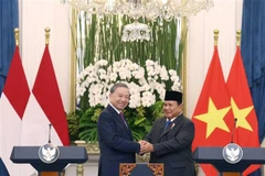 El secretario general del Partido Comunista de Vietnam, To Lam (izquierda), y el presidente indonesio, Prabowo Subianto (Foto: VNA)