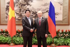 El presidente de Vietnam, Luong Cuong, se reúne con su homólogo ruso, Vladimir Putin. (Foto: VNA)