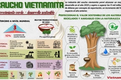 Sector del caucho vietnamita aporta al crecimiento verde