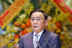 El miembro del Buró Político y permanente del Secretariado del Comité Central del Partido Comunista de Vietnam, Tran Cam Tu, interviene en la cita (Foto: VNA)
